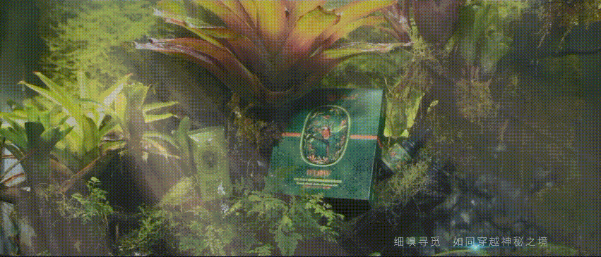 企業(yè)宣傳片制作公司用文化的靈魂表達品牌情感(圖1) 深圳宣傳片制作劇情展示圖